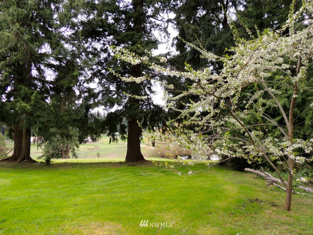 3795 Midvale Road Clinton, WA 98236 - Photo 14 of 15 Gallery Image 14