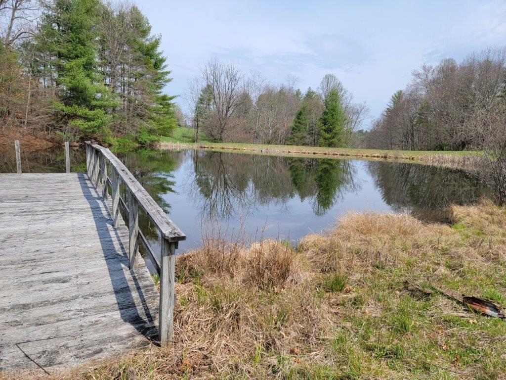 Tbd Hunters Ridge Road Dugspur, VA 24325 - Photo 38 of 65 Gallery Image 38