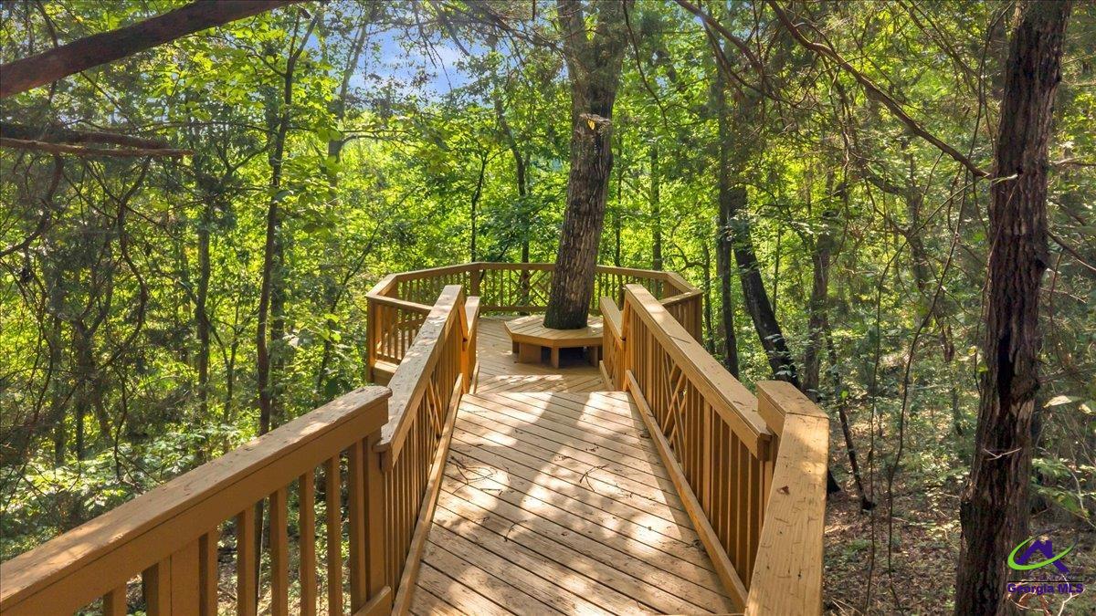 1060 Cooks Mill Road Oglethorpe, GA 31068 - Photo 61 of 100 Gallery Image 61
