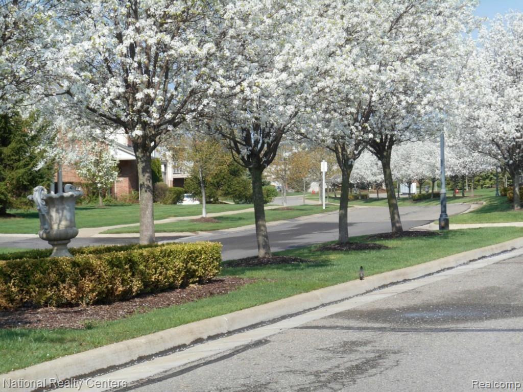 3490 Oakmonte Boulevard, Unit 126 Rochester, MI 48306 - Photo 46 of 53 DSCN0128.jpg
