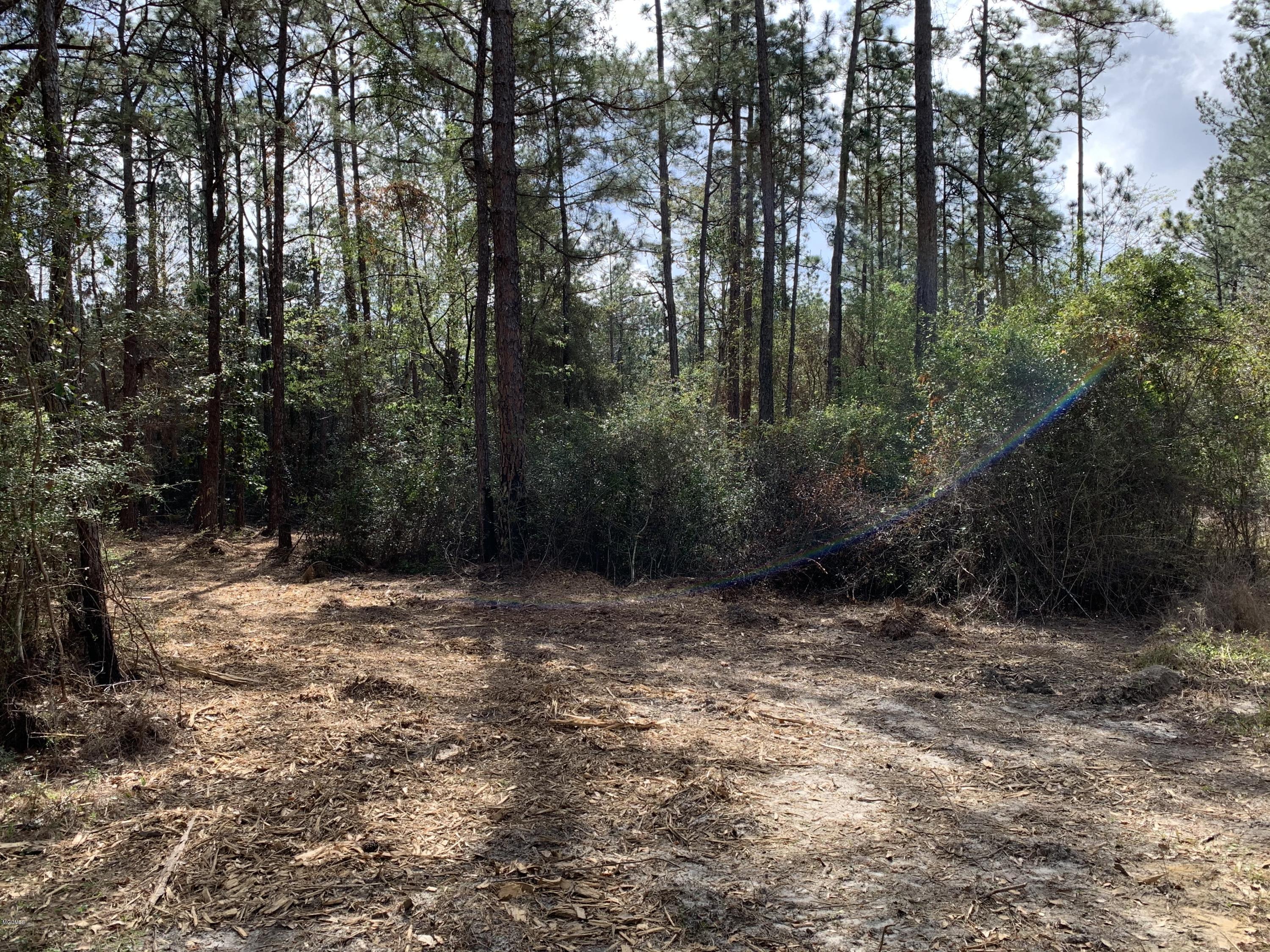 13253 Husley Road Biloxi, MS 39532 - Photo 4 of 5 Matthew Rosetti - 024E720A-FAFC-46A9-BFD