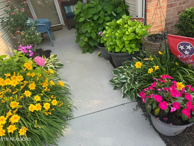 $349,000 | 4528 Shamus Way, Knoxville, TN 37918