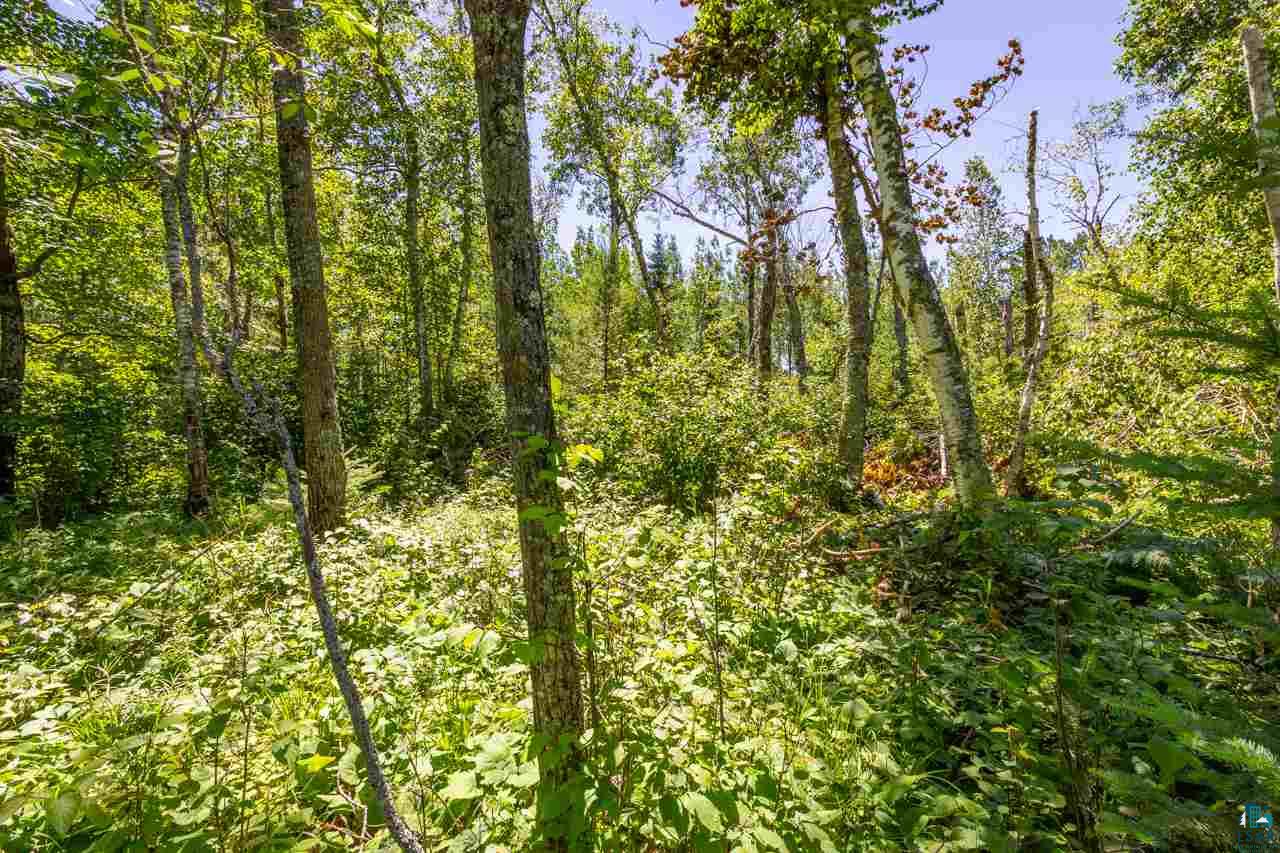 Tbd East Tbd E Migisi Road Ely, MN 55731 - Photo 20 of 25 Gallery Image 20