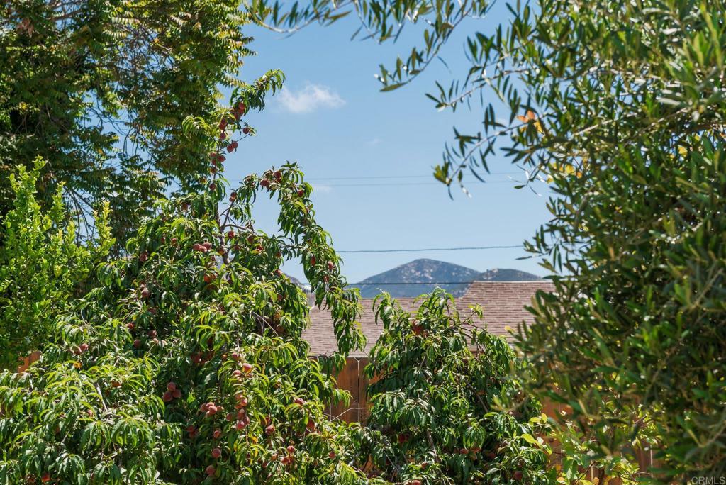 13425 Standish Drive Poway, CA 92064 - Photo 33 of 34 a view of a plant in a garden