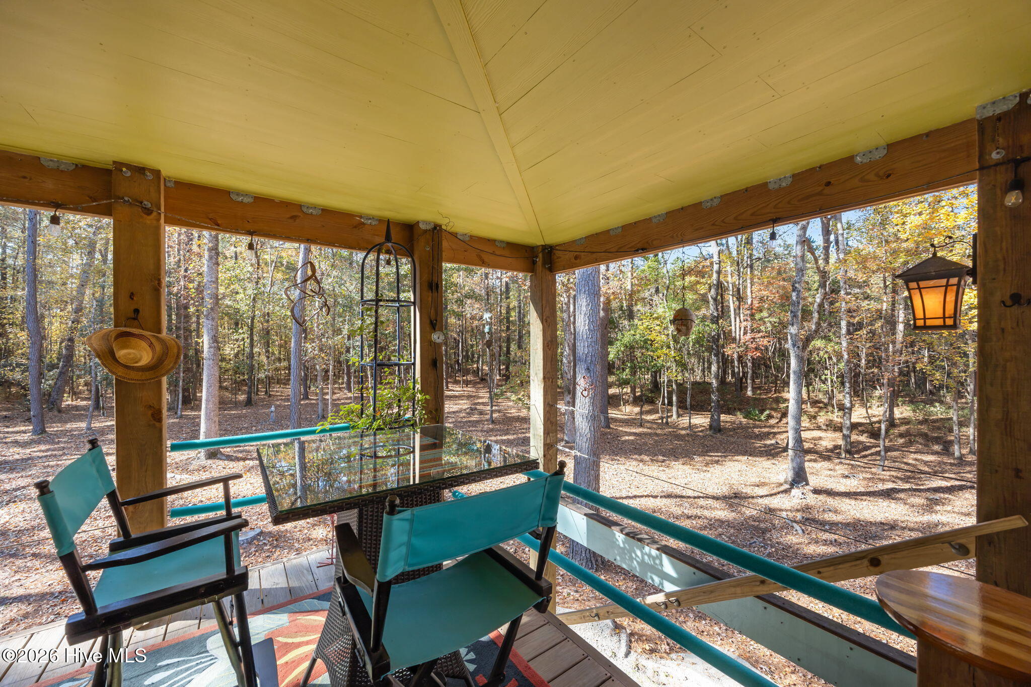 85 Point Of View Drive Merritt, NC 28556 - Photo 37 of 40 34-web-or-mls-0C0A6865