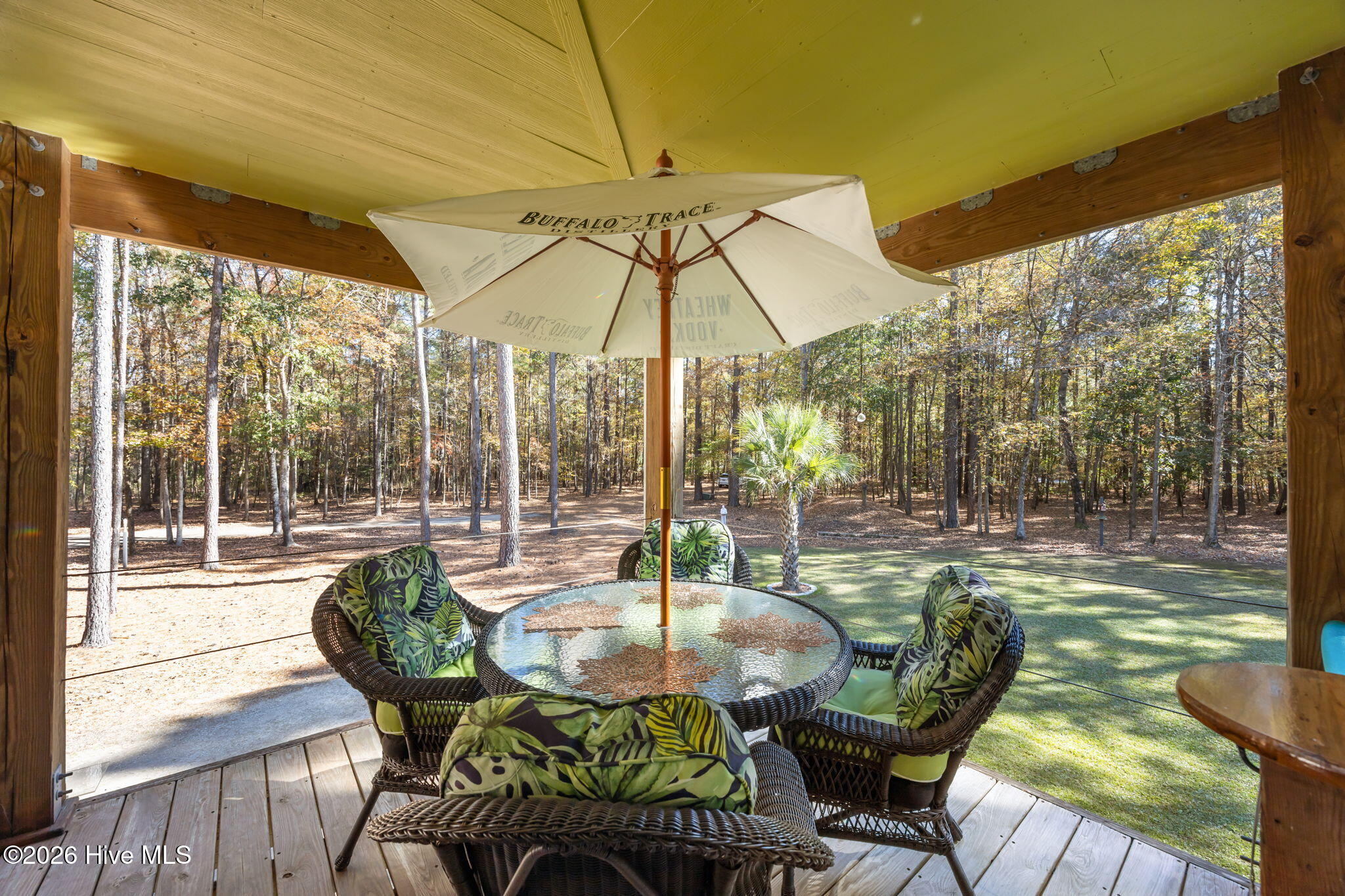 85 Point Of View Drive Merritt, NC 28556 - Photo 3 of 7 39-web-or-mls-0C0A6872