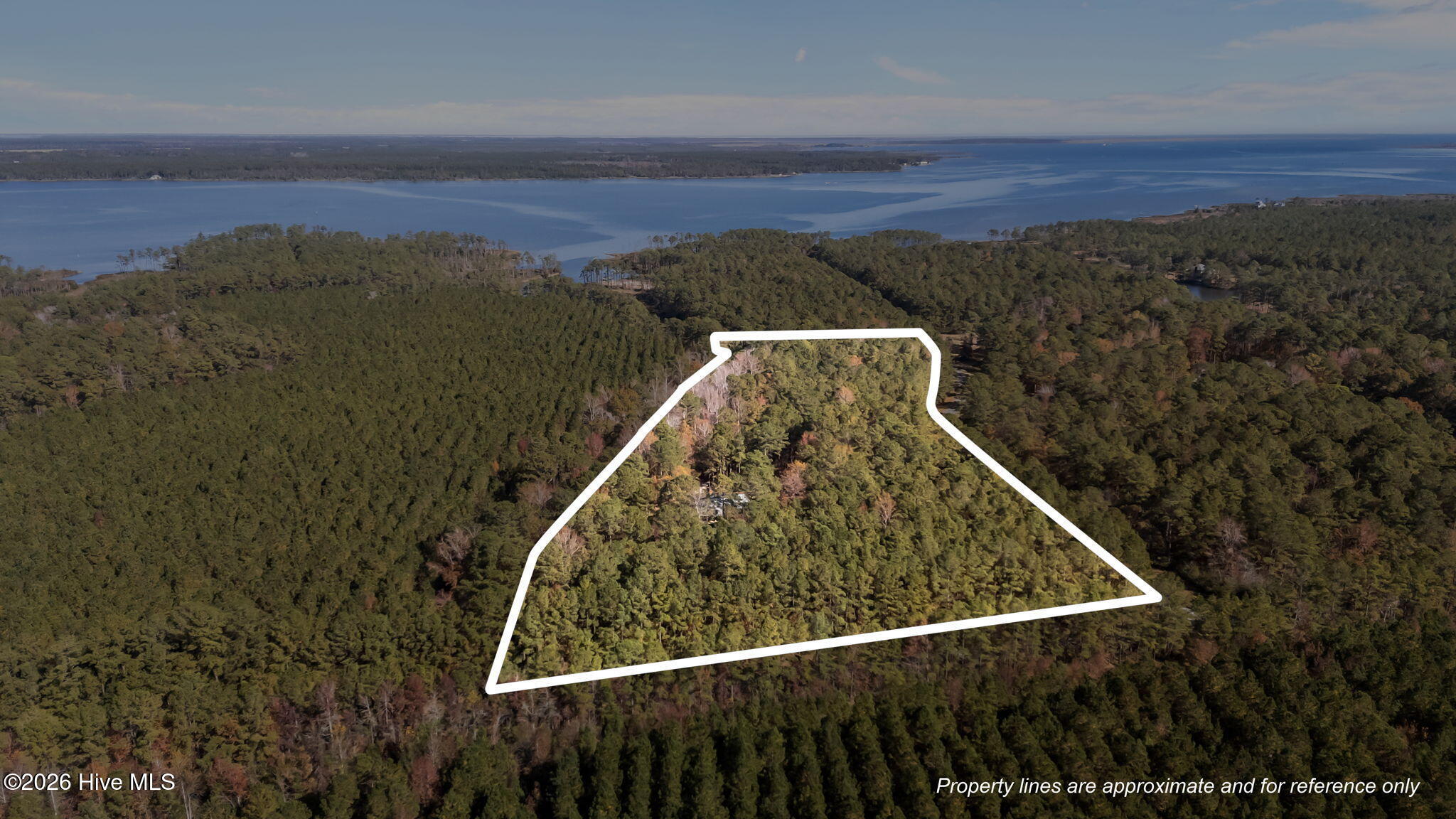 85 Point Of View Drive Merritt, NC 28556 - Photo 4 of 7 56-web-or-mls-DJI_20251118114550_0021_D_