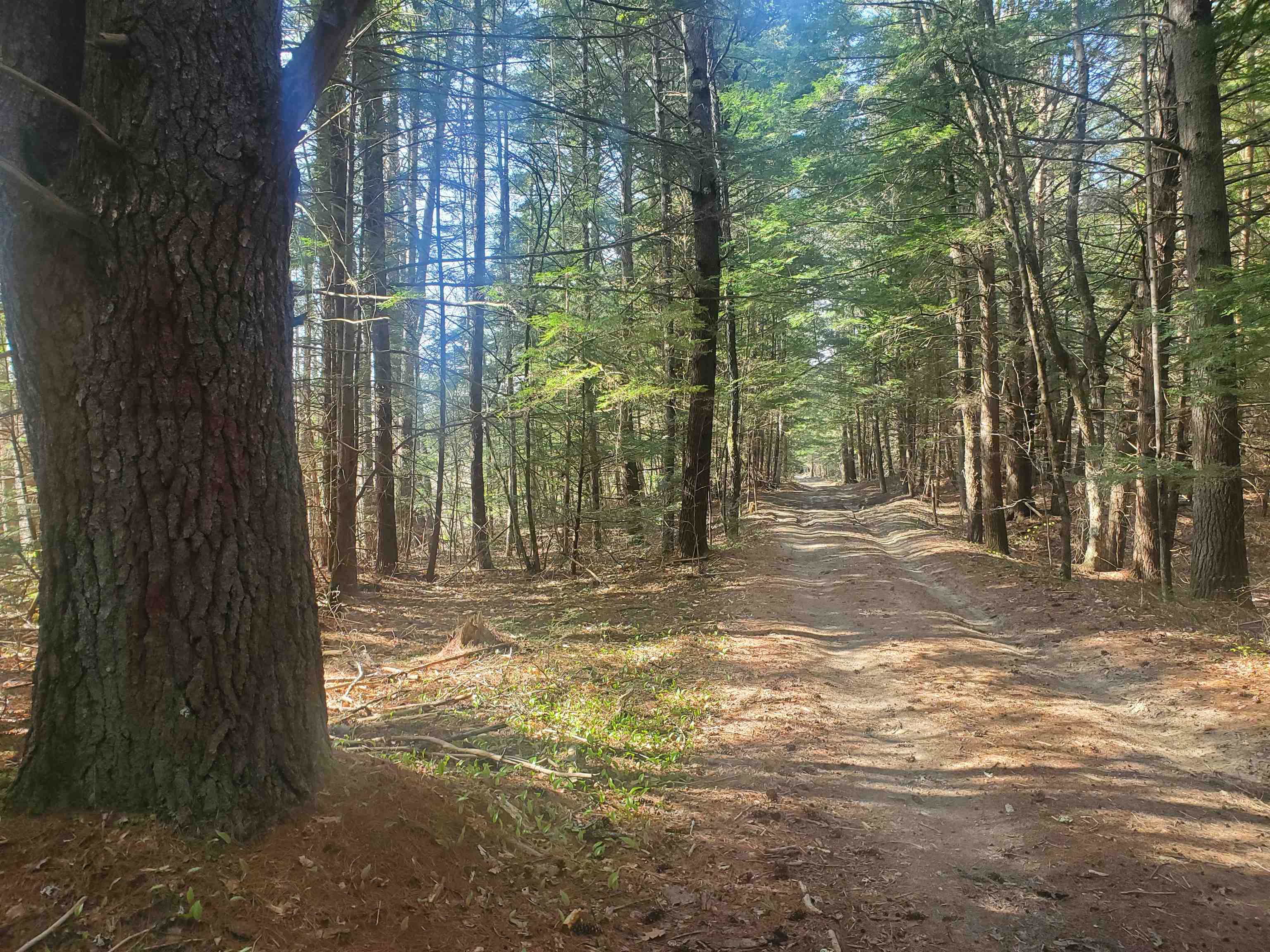 Rabbit Hollow Road Swanzey, NH 03446 - Photo 5 of 5