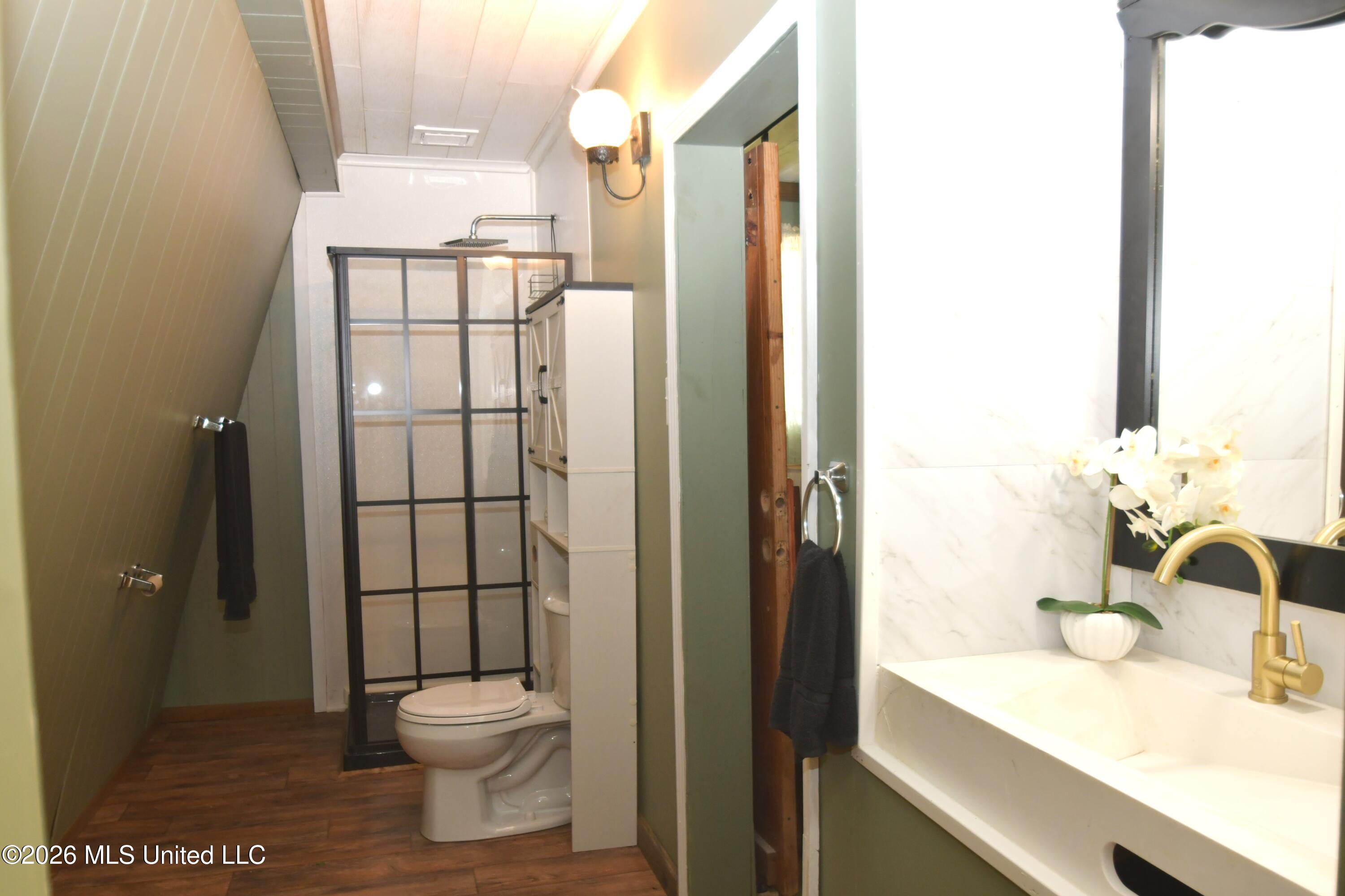 180 Red Oak Road Ashland, MS 38603 - Photo 12 of 33 Primary Bathroom