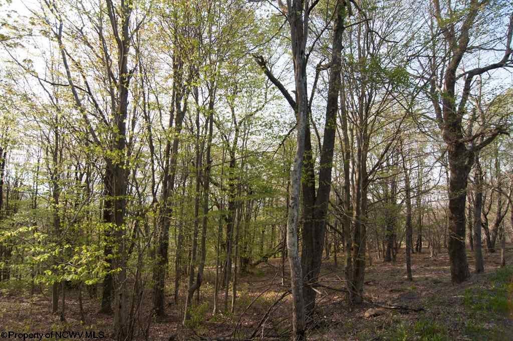 11 Mountainside Road Davis, WV 26260 - Photo 3 of 18 Gallery Image 3