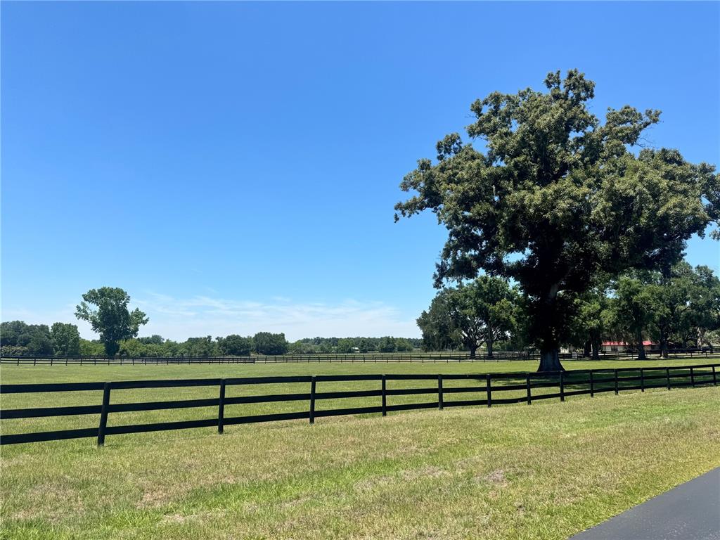 11145 Northwest 17th Court Road Ocala, FL 34475 - Photo 59 of 59 a view of outdoor space with mountain view
