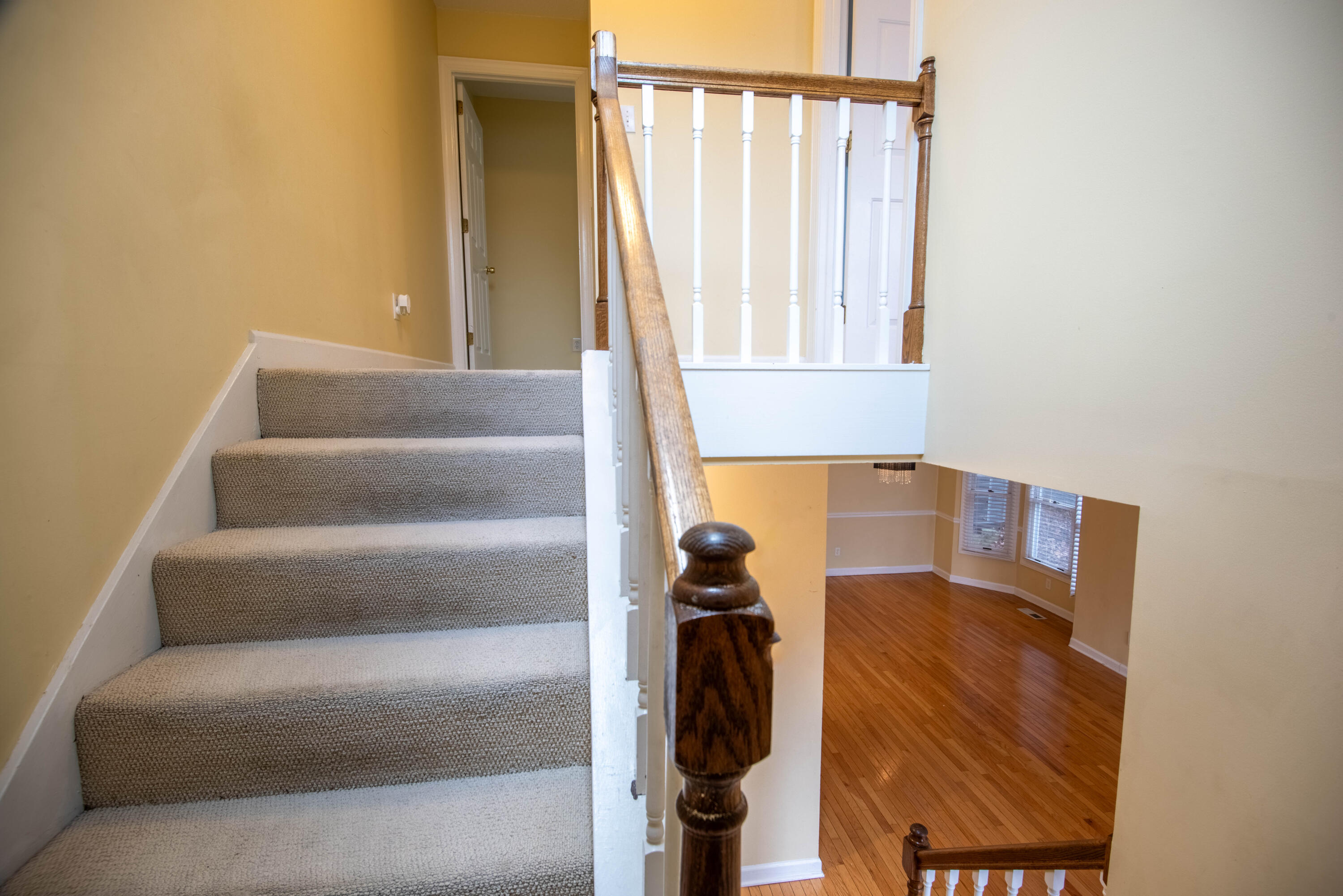 527 Winterview Lane Chattanooga, TN 37409 - Photo 22 of 68 Winterview 22