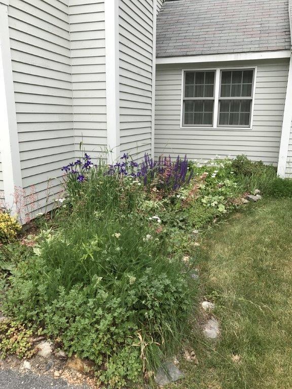 Unit #56 Willow Grove Road, Unit 56 Brunswick, ME 04011 - Photo 25 of 27 Side view of garden.