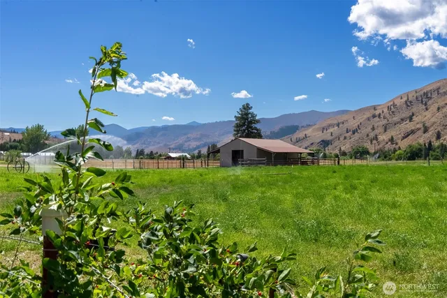 a view of a house with a yard and potted plants