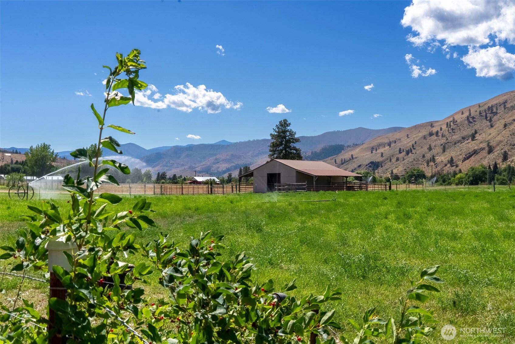 54 B Ross Road, Unit B Twisp, WA 98856 - Photo 31 of 40 a view of a house with a yard and potted plants