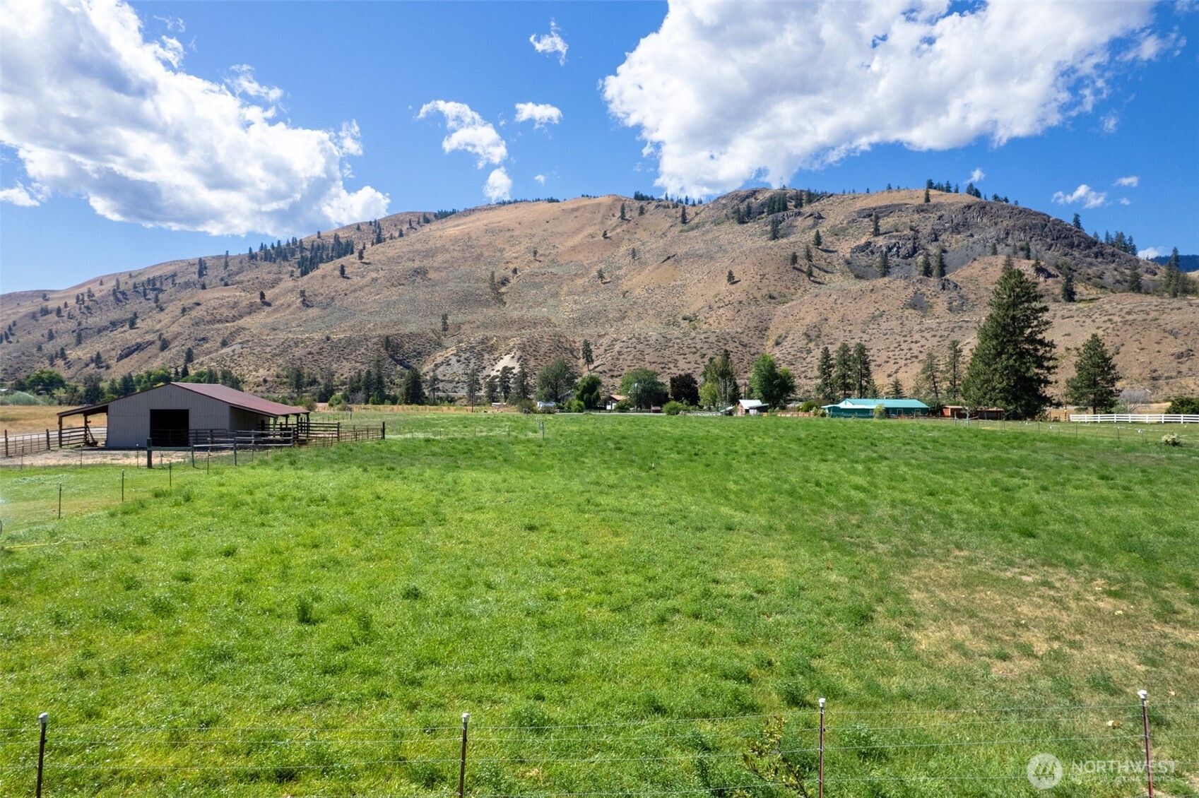 54 B Ross Road, Unit B Twisp, WA 98856 - Photo 32 of 40 a view of a green field with mountains in the background