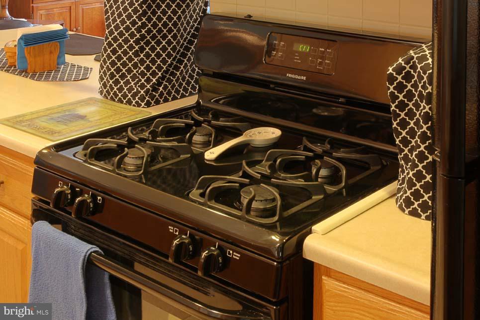 111 Lodge Hall Road Mount Jackson, VA 22842 - Photo 15 of 29 Gas Range