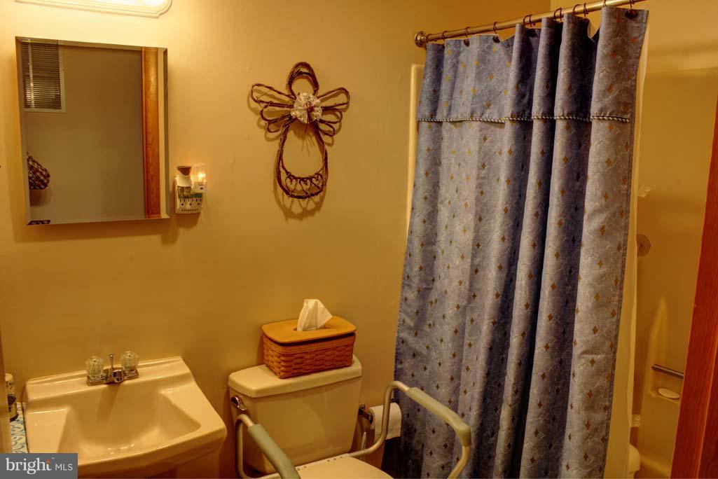 111 Lodge Hall Road Mount Jackson, VA 22842 - Photo 20 of 29 Bath
