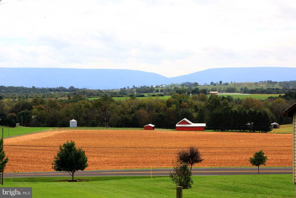 111 Lodge Hall Road Mount Jackson, VA 22842 - Photo 28 of 29 Mountain and Pasture View