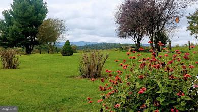 111 Lodge Hall Road Mount Jackson, VA 22842 - Photo 9 of 29 Garden View