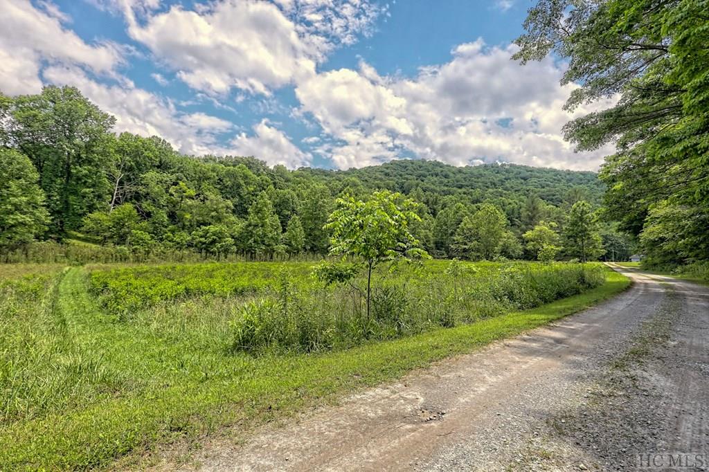 1222 Shope Road Otto, NC 28763 - Photo 34 of 57 Gallery Image 34