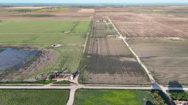 a view of a large body of water with lots of trees in all around