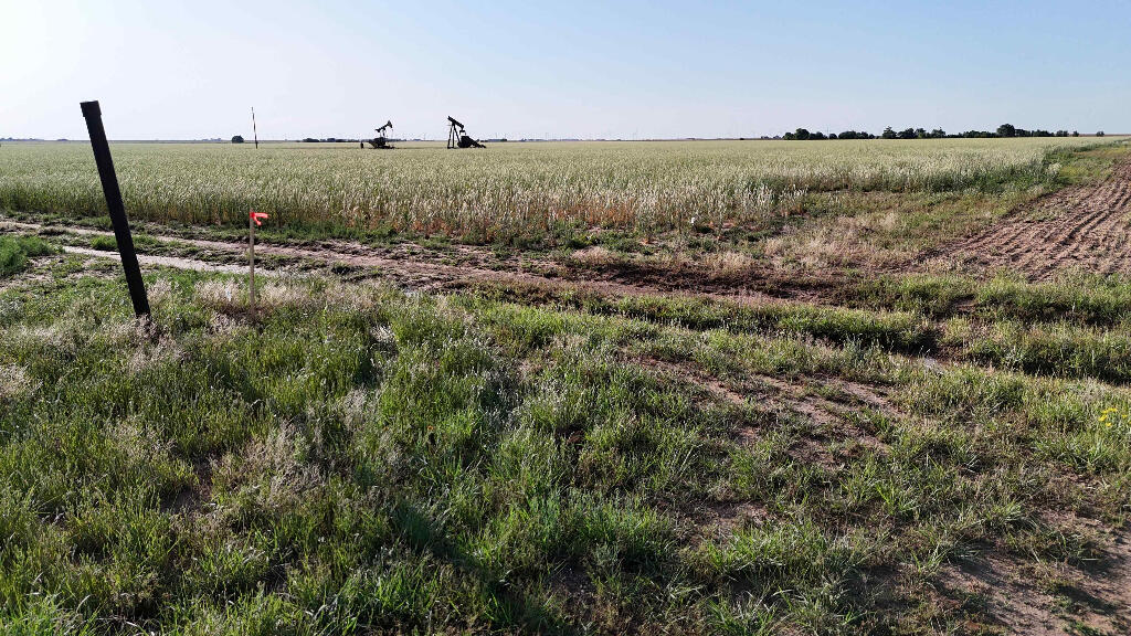 1443 County Road 145 Post, TX 79356 - Photo 13 of 22 a view of a large body of water with lots of trees in all around