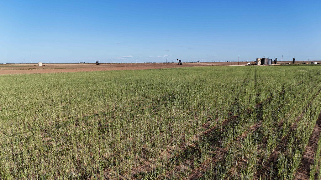 1443 County Road 145 Post, TX 79356 - Photo 18 of 22 a view of a city