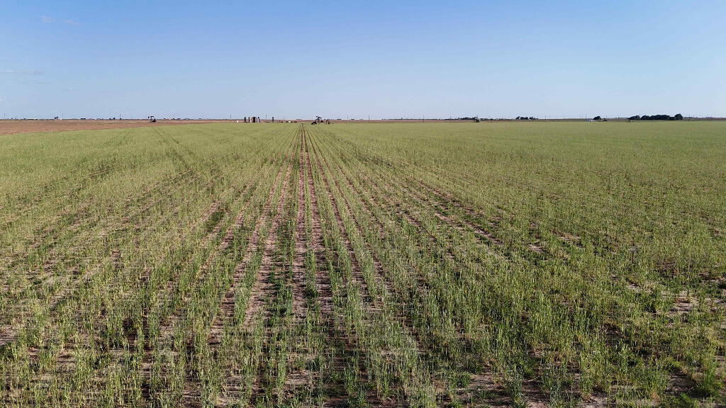 1443 County Road 145 Post, TX 79356 - Photo 19 of 22 a view of an outdoor space and a lake view