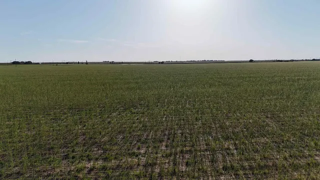a view of a ocean beach