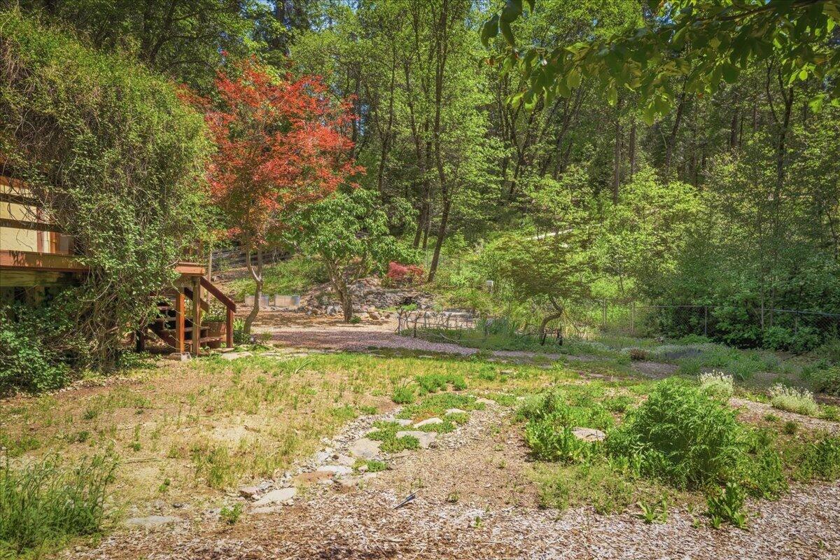 609 Eiler Road Mount Shasta, CA 96067 - Photo 19 of 35 a view of a yard with an trees