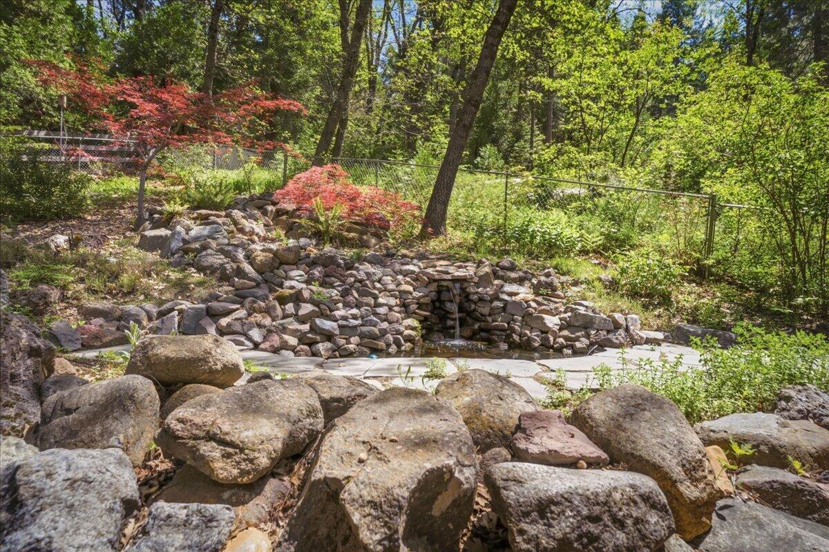 609 Eiler Road Mount Shasta, CA 96067 - Photo 20 of 35 a view of a tree with some plants