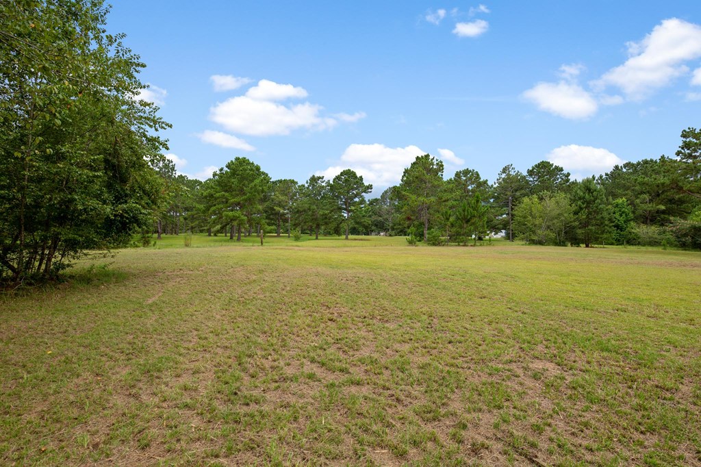 15 Apostolic Church Road Dothan, AL 36301 - Photo 62 of 63