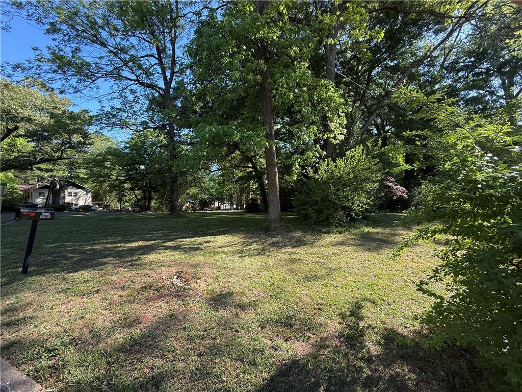 1061 Jolly Avenue Clarkston, GA 30021 - Photo 10 of 19