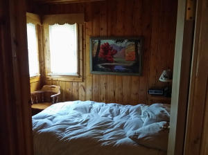 25 Flashlight Bend Road Grayling, MI 49738 - Photo 15 of 28 Gallery Image 15