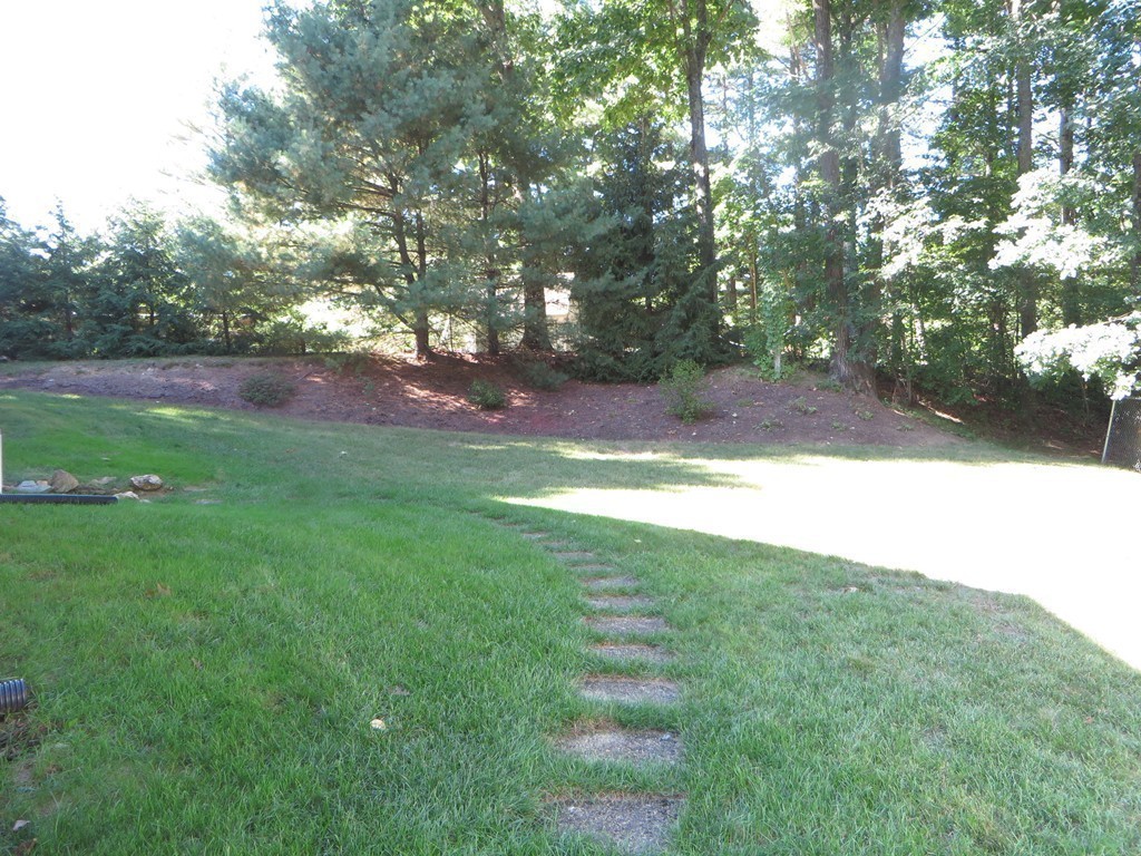 24 Raynor Road Sudbury, MA 01776 - Photo 30 of 30 a view of yard with green space