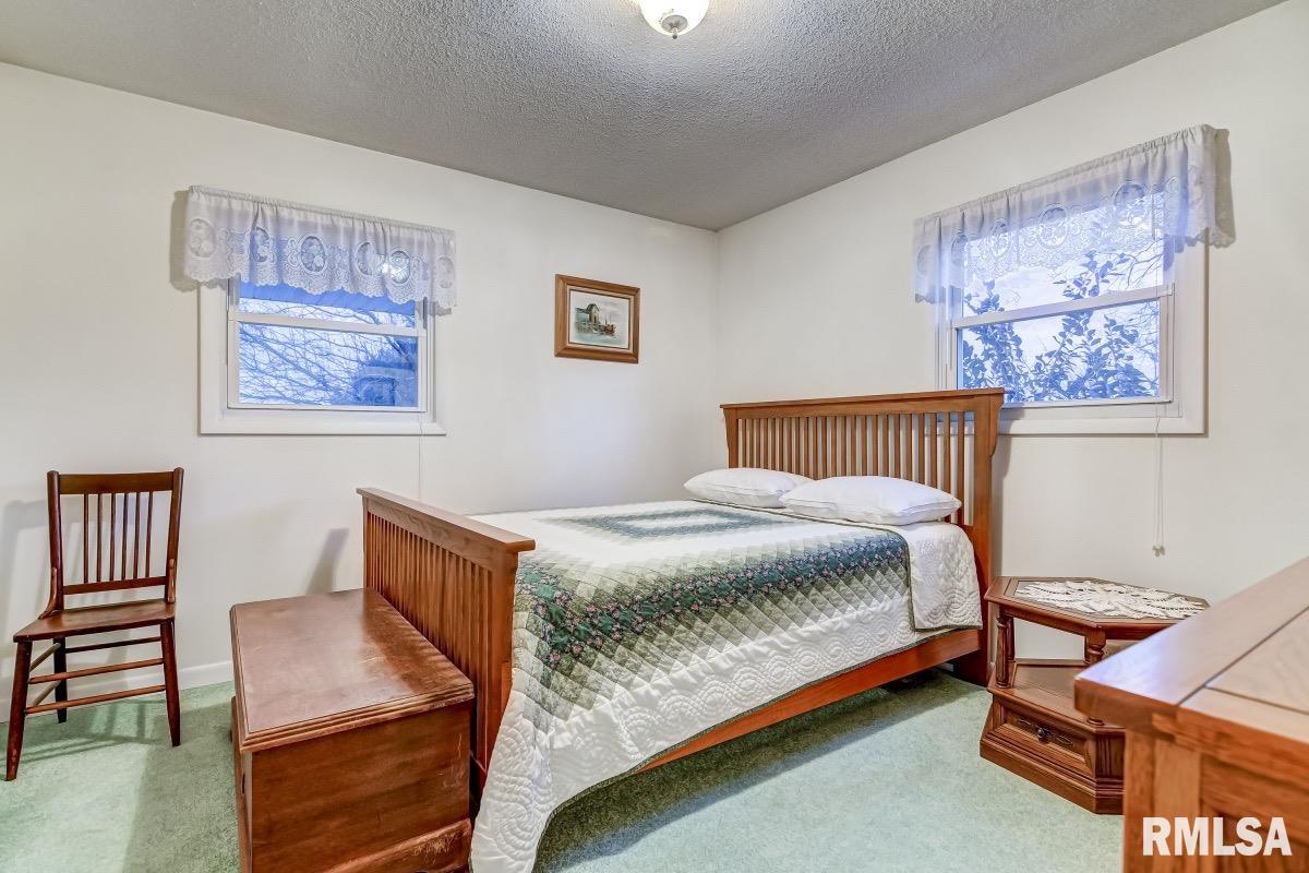 27555 Deep Rock Station Road Palmyra, IL 62674 - Photo 16 of 50