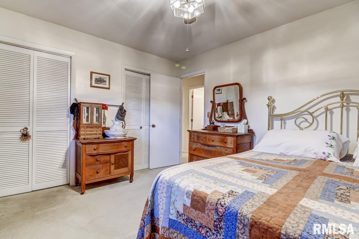 27555 Deep Rock Station Road Palmyra, IL 62674 - Photo 17 of 50
