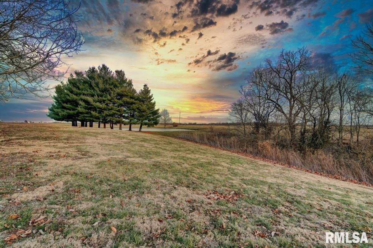 27555 Deep Rock Station Road Palmyra, IL 62674 - Photo 29 of 50