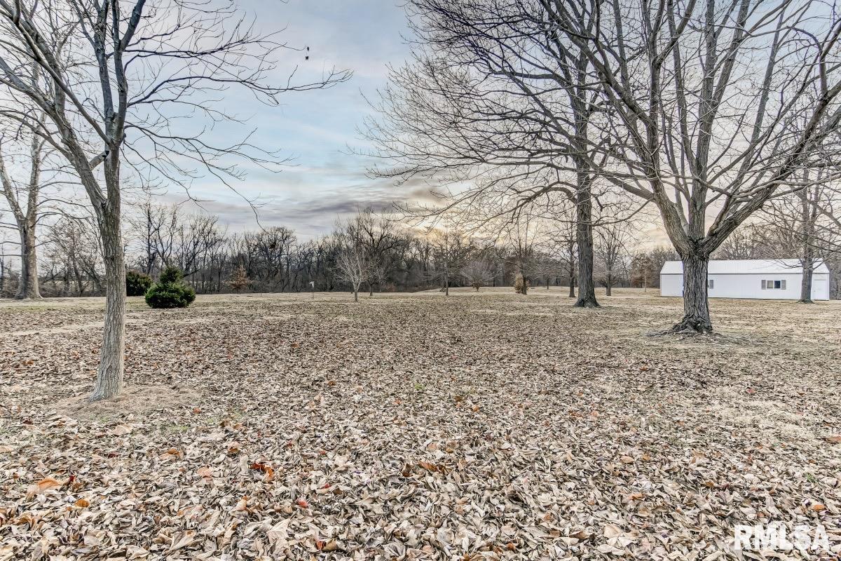 27555 Deep Rock Station Road Palmyra, IL 62674 - Photo 34 of 50