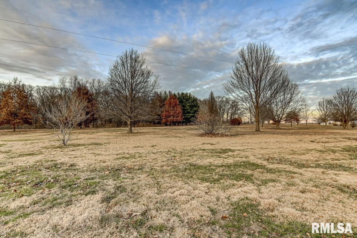 27555 Deep Rock Station Road Palmyra, IL 62674 - Photo 35 of 50