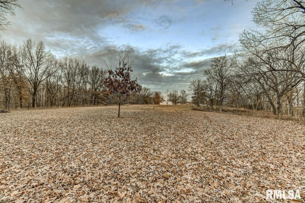 27555 Deep Rock Station Road Palmyra, IL 62674 - Photo 41 of 50