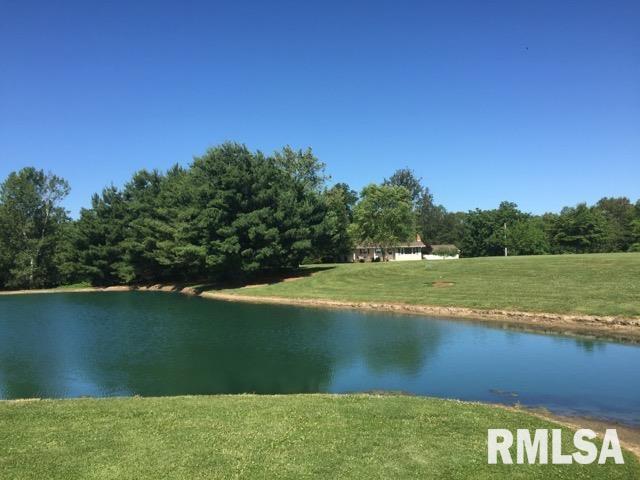 27555 Deep Rock Station Road Palmyra, IL 62674 - Photo 48 of 50