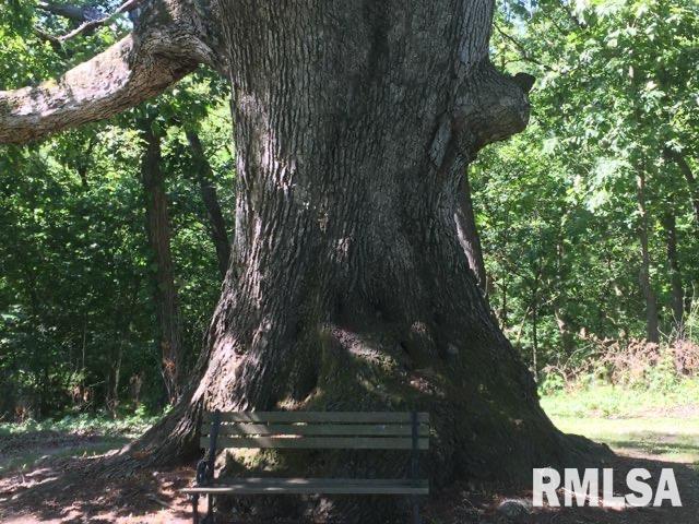 27555 Deep Rock Station Road Palmyra, IL 62674 - Photo 49 of 50