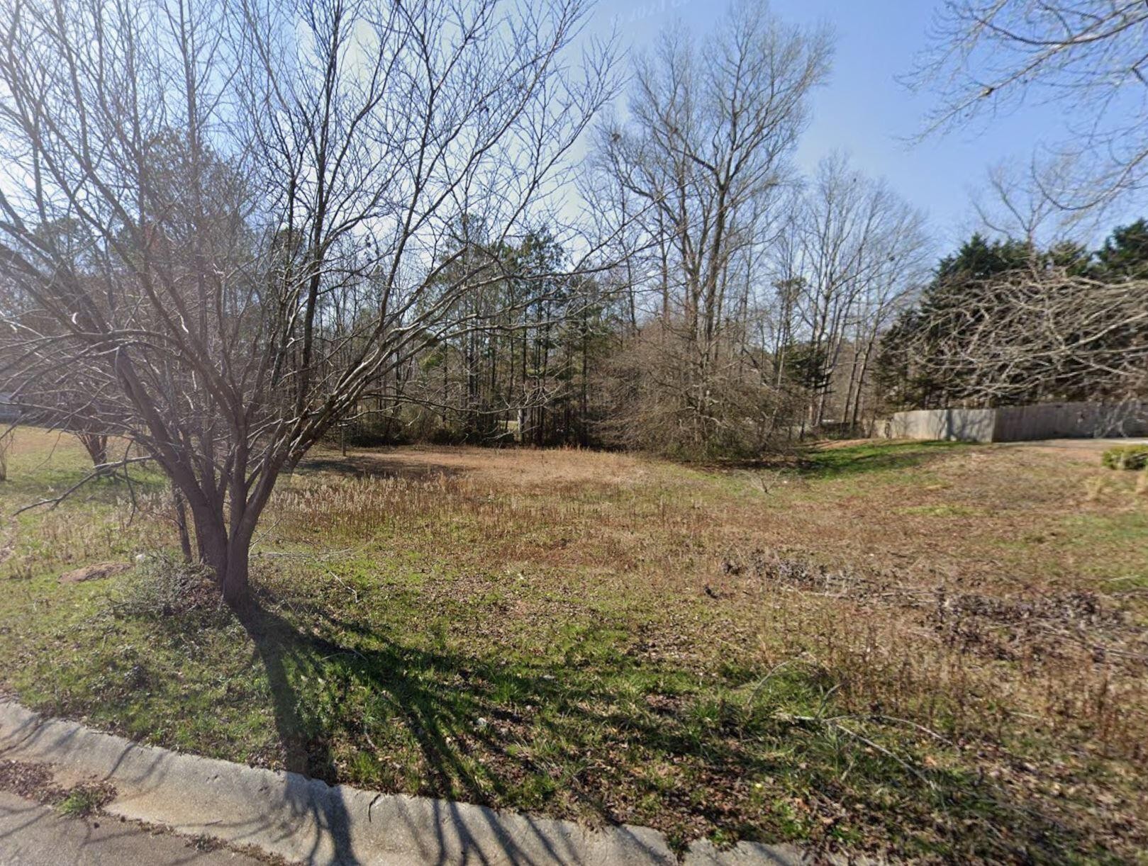 425 Little Mac Lane Villa Rica, GA 30180 - Photo 6 of 7