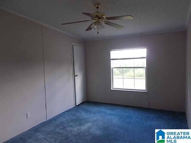 474 New Hope Road Springville, AL 35146 - Photo 10 of 12