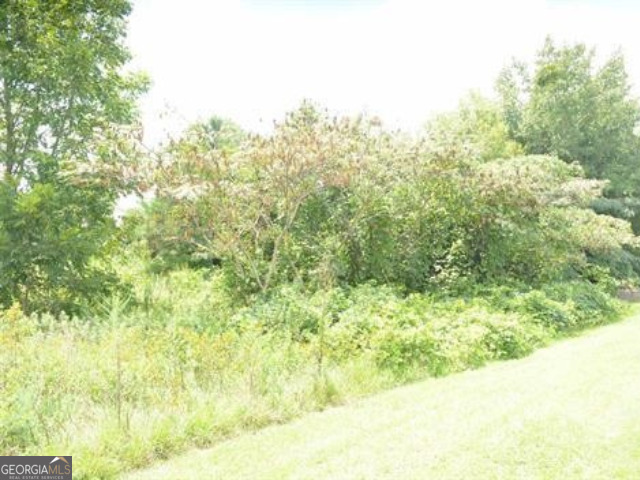 0 Gunn Road Byron, GA 31008 - Photo 2 of 10 Gallery Image 2
