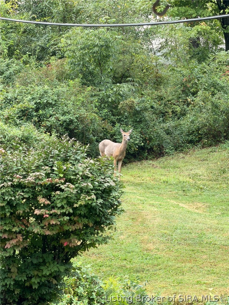221 Miles Ridge Road Madison, IN 47250 - Photo 38 of 40 Gallery Image 38
