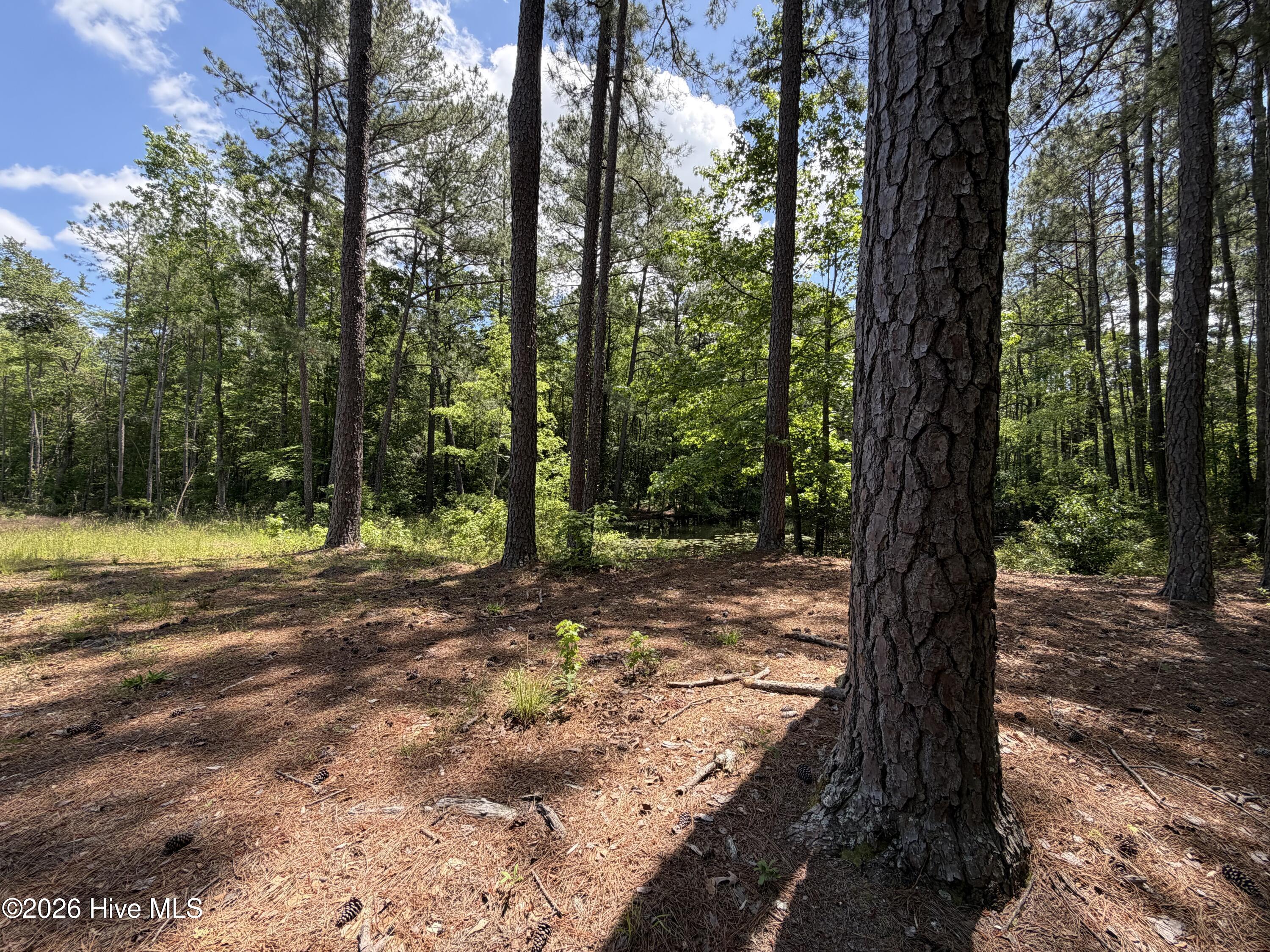 979 Aiken Road Vass, NC 28394 - Photo 13 of 26 979 Aiken Rd 13