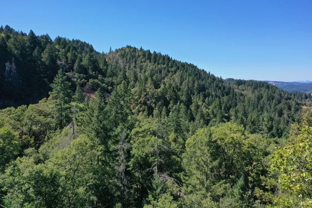 a view of a green field